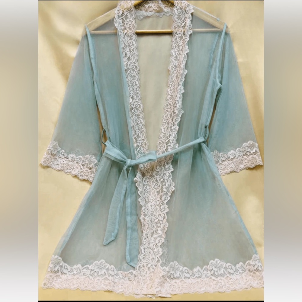 Elegant Sheer Lace Trim Robe - Blue